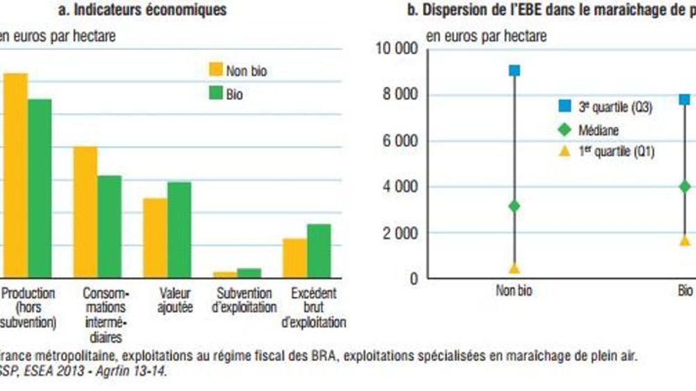 L’EBE/ha est supérieur de 32 % en maraîchage bio. Source : Insee